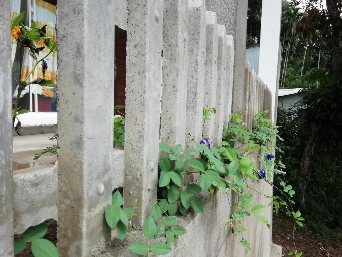 Ella Delightful Surround Homestay Exterior foto